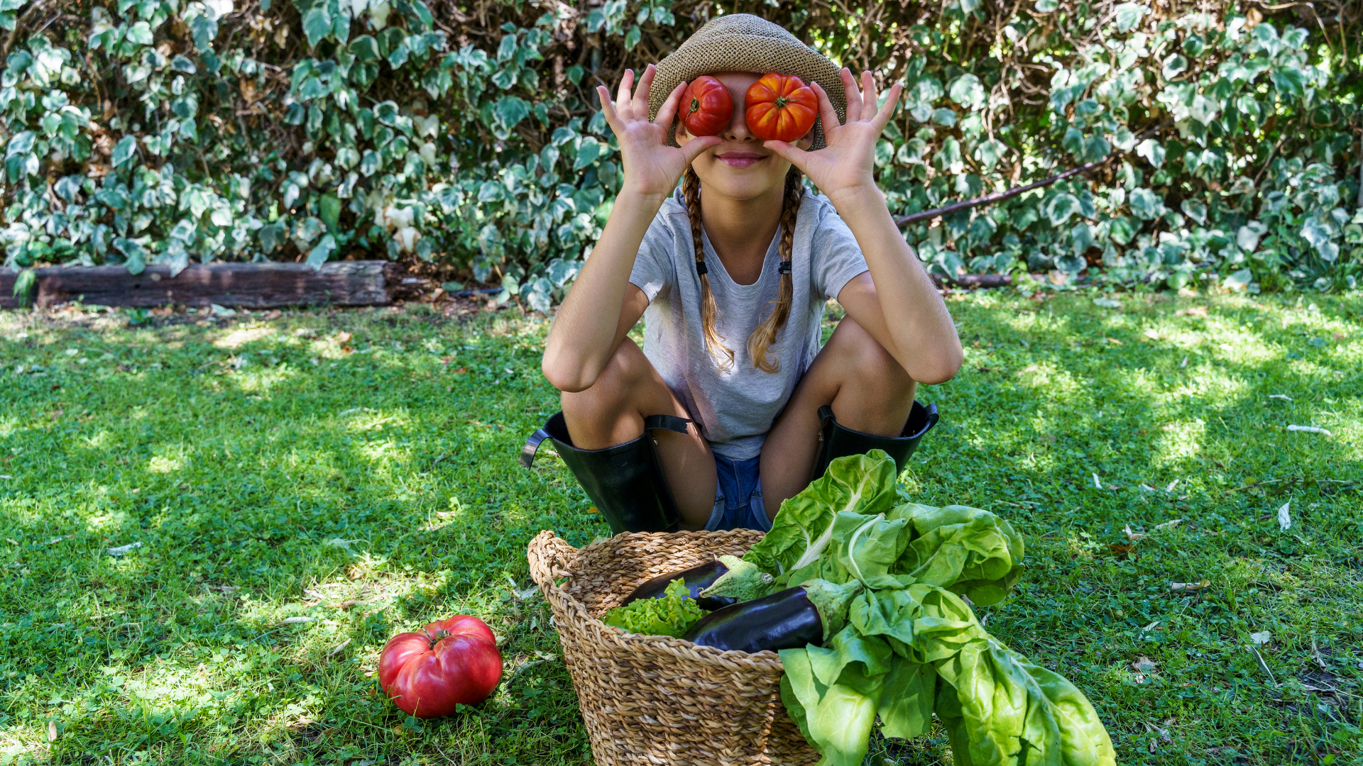 Agricultura local Mallorca