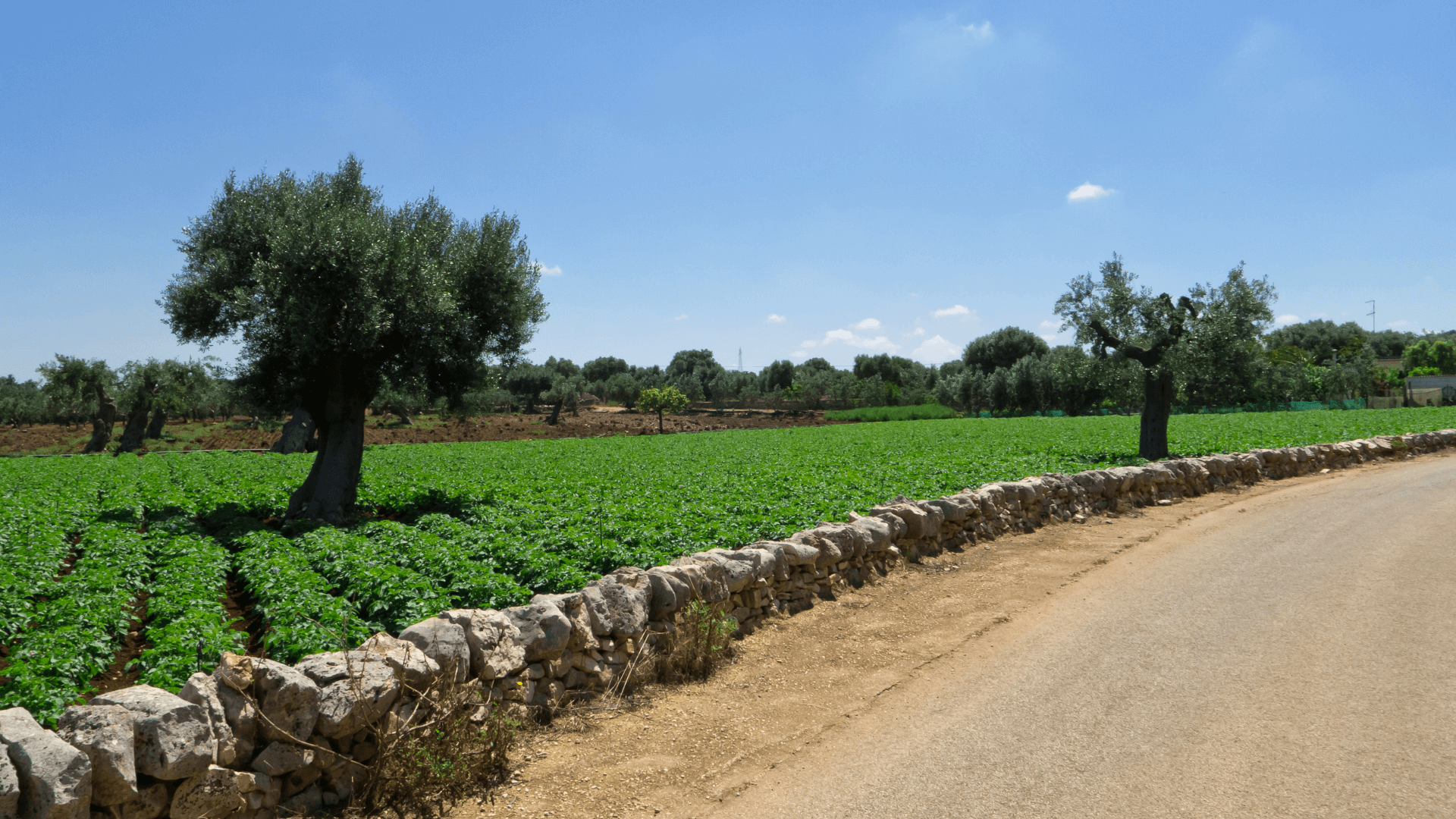 Localización alojamiento turismo rural